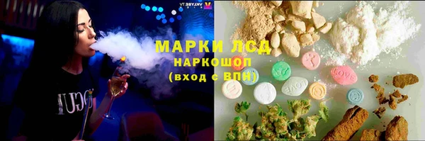 индика Кулебаки