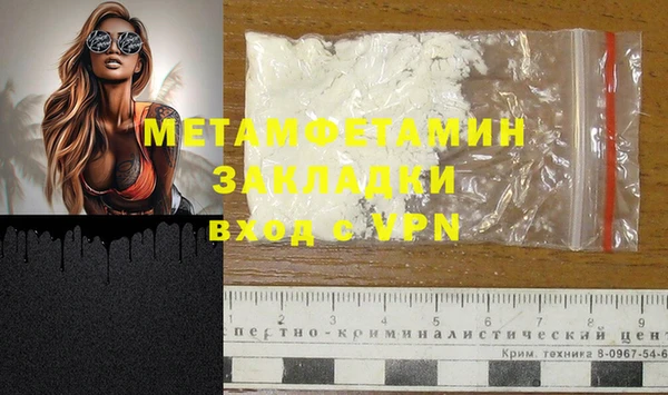 индика Кулебаки