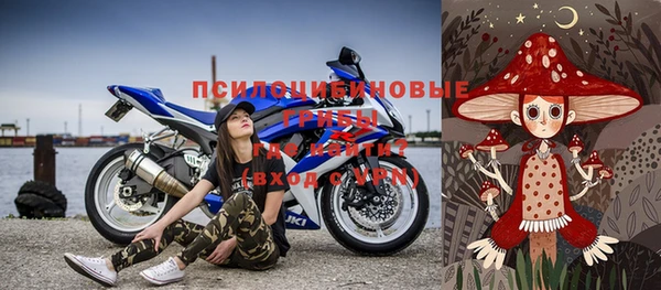 СК Кукмор