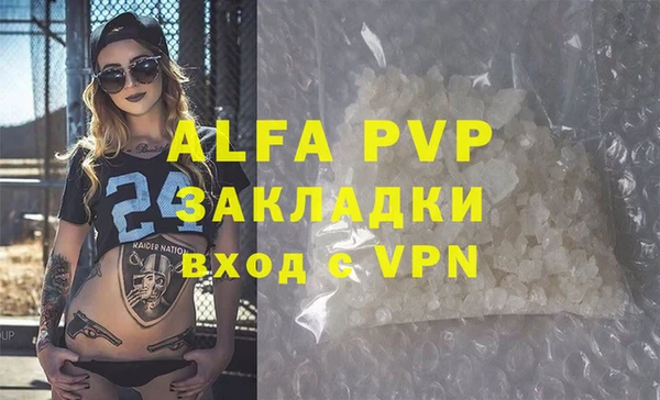индика Кулебаки