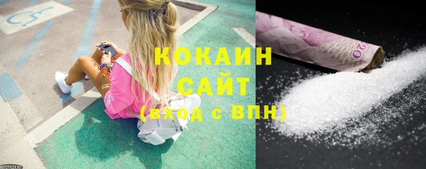 индика Кулебаки