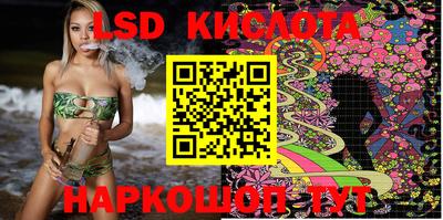 стаф Донской