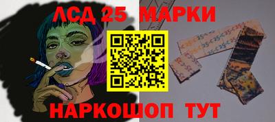 стаф Донской