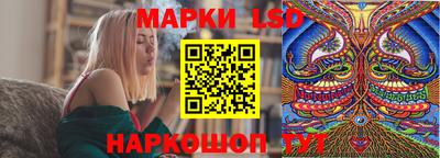 крисы Донецк