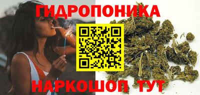 крисы Донецк