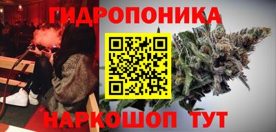 амф Дубна