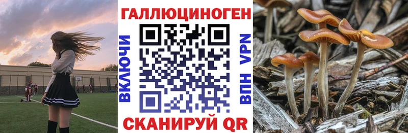 Псилоцибиновые грибы мицелий  Малгобек 