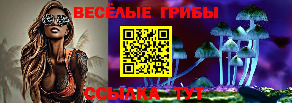 Галлюциногенные грибы прущие грибы  Малгобек  Псилоцибиновые грибы прущие грибы 