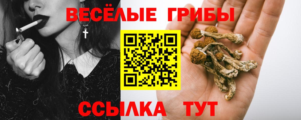 Псилоцибиновые грибы ЛСД  Вход с VPN  Малгобек  Псилоцибиновые грибы Psilocybine cubensis 